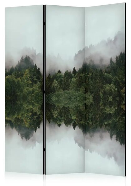 Paravento Nebbia nella foresta - paesaggio d'atmosfera con alberi