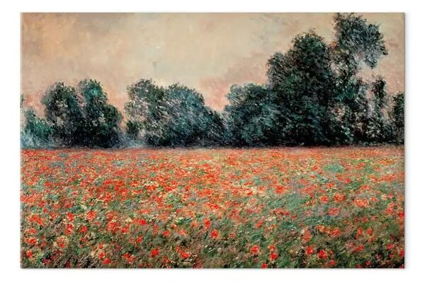 Riproduzione quadro Claude Monet - Poppies at Giverny