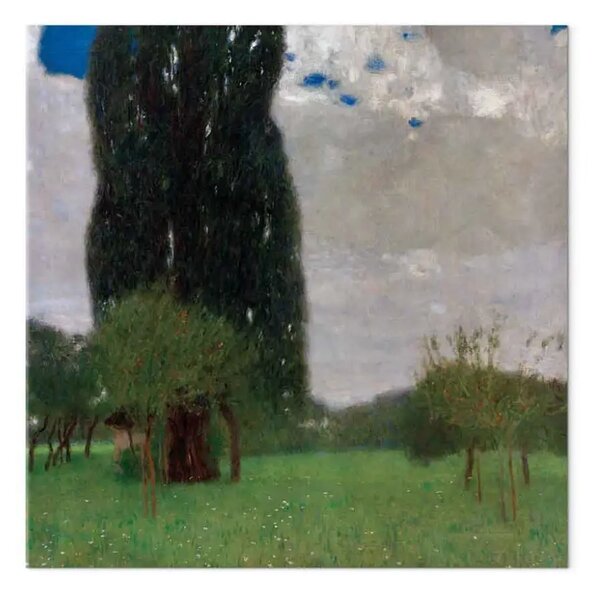 Riproduzione quadro Gustav Klimt - Il grande pioppo I