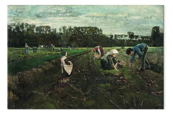 Riproduzione quadro Max Liebermann - Kartoffelernte a Barbizon