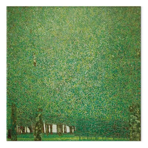 Riproduzione Gustav Klimt - Il Parco