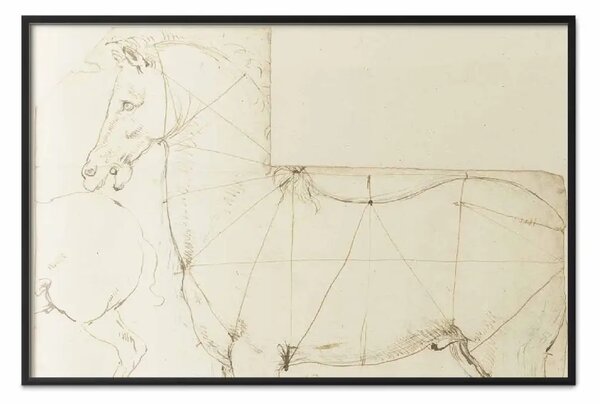 Poster: Leonardo da Vinci - Studio del cavallo