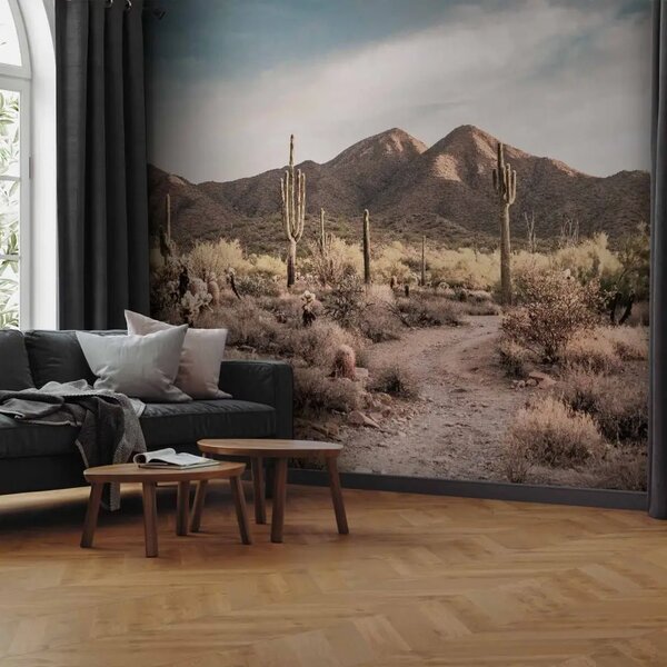 Carta da parati Deserto montano - vista su cactus e montagne al tramonto
