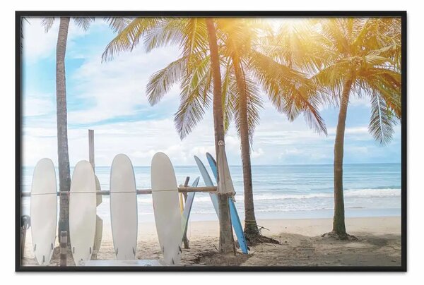 Poster: Spiaggia di surf - tavole sotto le palme sullo sfondo dell'oceano