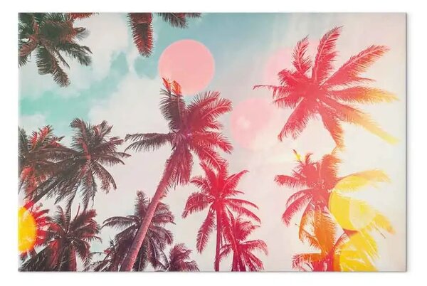 Quadro contemporaneo Palme alla luce - alberi tropicali alla luce del sole