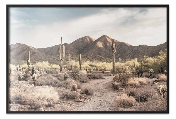 Poster: Sentiero nel deserto - vista di cactus e montagne alla luce del sole mattutino