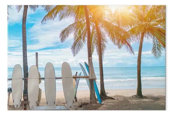 Quadro Tavole da surf - attrezzatura su una spiaggia tropicale sotto le palme