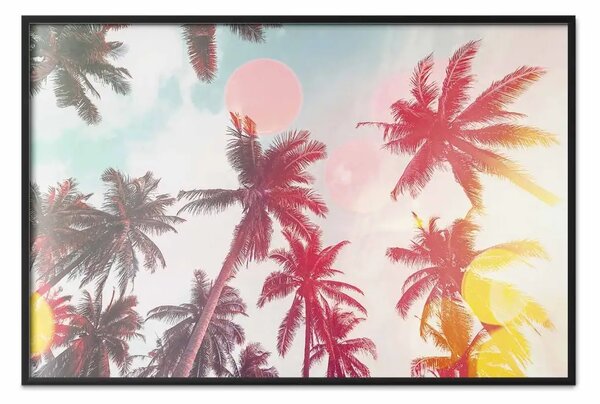 Poster: Palme luminose - alberi tropicali alla luce del sole