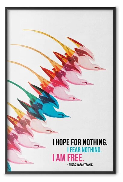 Poster: Uccelli colorati - sagome astratte tonalità pastello citazione