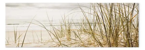 Quadro su tela Dune al mattino - erba contro il mare calmo