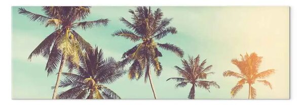 Quadro Palme tropicali - Alberi contro il cielo azzurro e i raggi del sole
