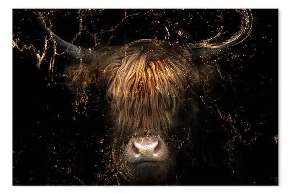 Quadro su tela Toro - un ritratto maestoso con un mantello ispido in luce dorata