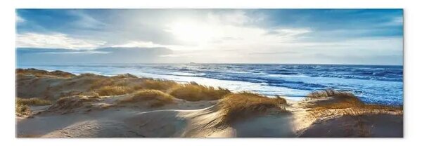 Quadro moderno Costa danese - costa pittoresca con dune di sabbia erbose
