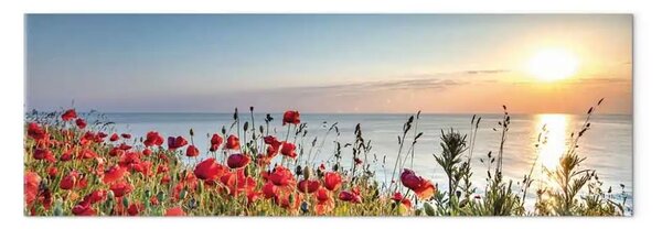 Quadro Fiori e mare - papaveri rossi sulla riva all’alba