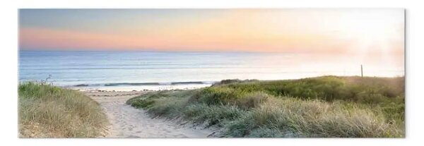 Quadro su tela Sentiero per la spiaggia - vista mare all'alba da una duna di sabbia