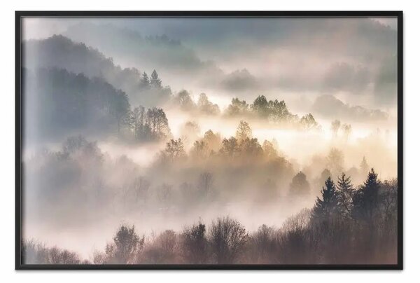 Poster: Valle nebbiosa - foreste nella nebbia all'alba