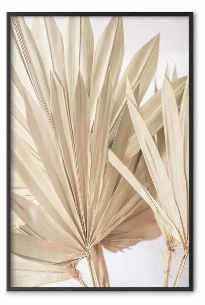 Poster: Palme secche - composizione di foglie beige