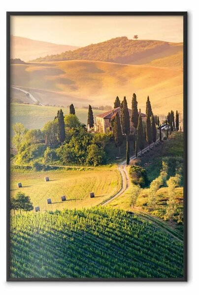 Poster: Le colline toscane - villa tra vigneti e alberi