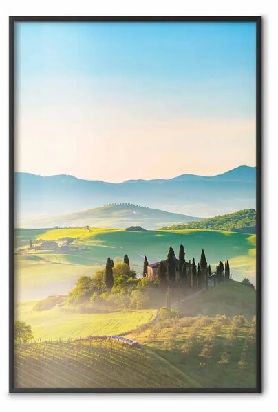 Poster: Mattina in Toscana - sole nascente sui vigneti