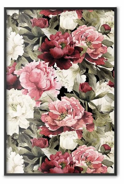 Poster: Giardino di peonie - fiori rossi e bianchi