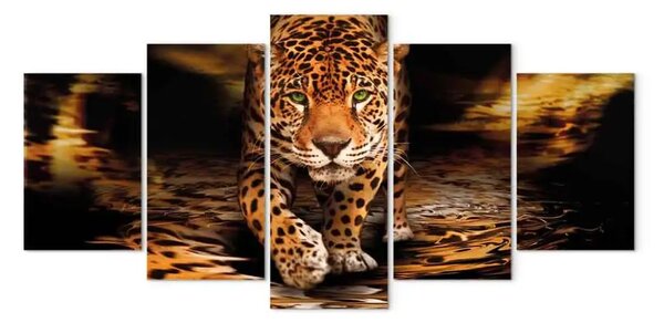Quadro contemporaneo Predatore dagli occhi verdi (5 pezzi) largo arancione