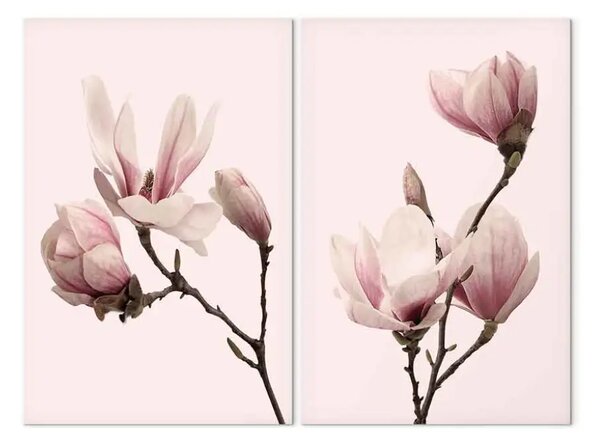 Quadro Magnolie Chic (2 pezzi)