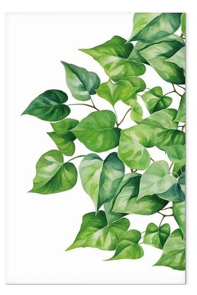 Quadro Fogliame verde - rami folti e freschi su sfondo bianco