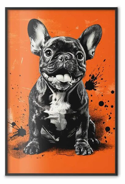 Poster: Bulldog sorridente - ritratto bianco e nero su sfondo arancione