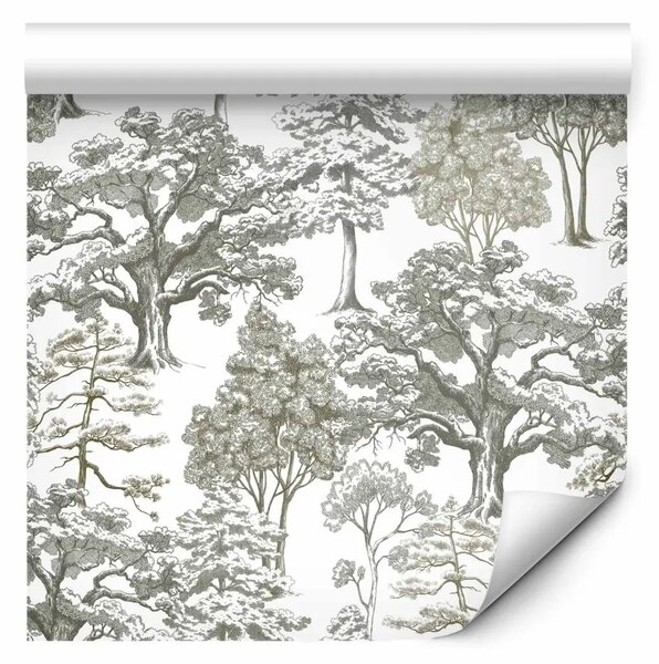 Tappezzerie Nella vecchia foresta - disegno di diversi tipi di alberi su sfondo chiaro