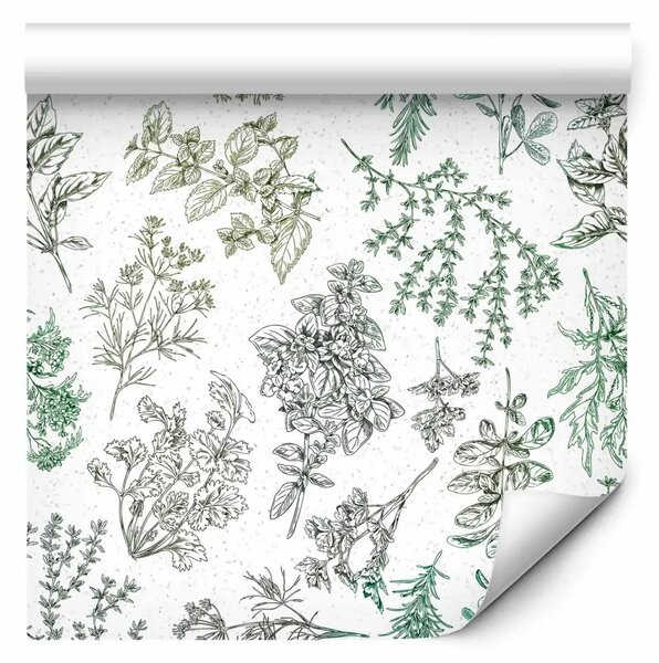 Tappezzerie Illustrazione di erbe - elegante motivo di erbe in stile disegnato a mano