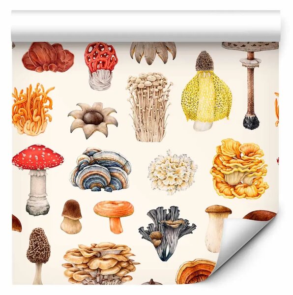 Tappezzerie Raccolta di funghi - motivo botanico su sfondo chiaro