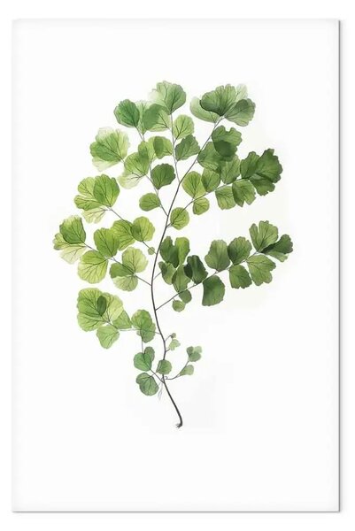 Quadro contemporaneo Sottigliezza delle foglie verdi di felce - immagine minimalista della natura