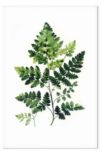 Quadro Felce in una visione minimalista - verde naturale su sfondo bianco