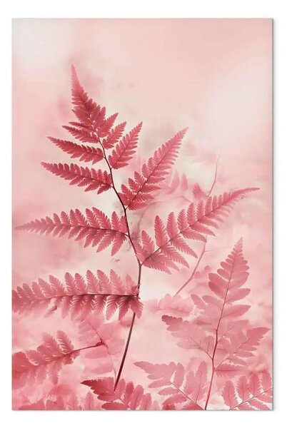 Quadro Felci in una palette pastello di rosa - composizione artistica della natura