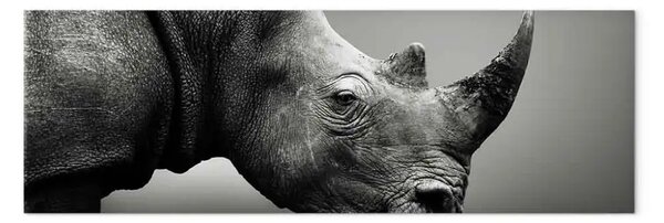 Quadro contemporaneo Rinoceronte maestoso - animale in bianco e nero su uno sfondo liscio