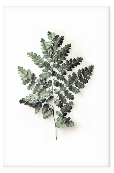 Quadro su tela Eleganza della natura nei toni del verde - felce su sfondo bianco