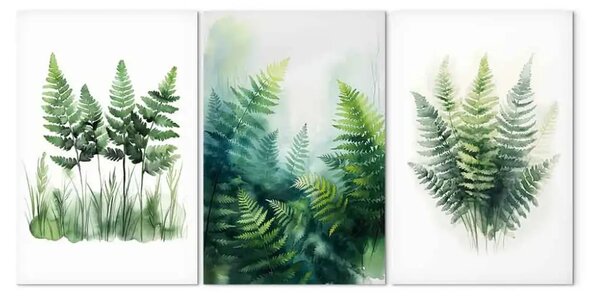 Quadro Colori forestali - mattina nebbiosa tra le felci