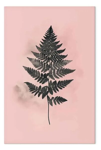 Quadro moderno Sottile gioco di contrasti - felce grigia in elegante incorniciatura di rosa