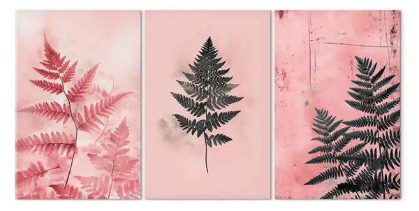 Quadro contemporaneo Rosa e nero - felci in armonioso contrasto di colori