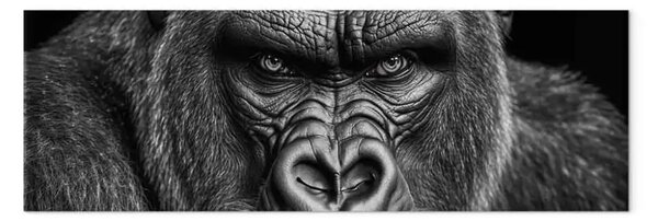 Quadro moderno Gorilla potente - grande animale con sguardo minaccioso in bianco e nero