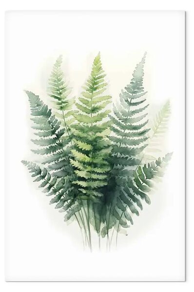Quadro Felci in forma delicata - acquerello minimalista su sfondo bianco