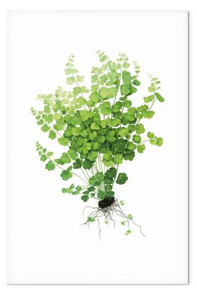 Quadro contemporaneo Felce con radici esposte - simbolo minimalista della vita