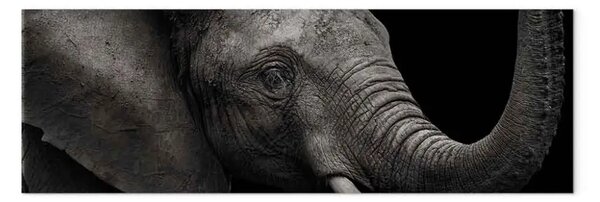 Quadro su tela Elefante maestoso - enorme animale con orecchie e proboscide grandi
