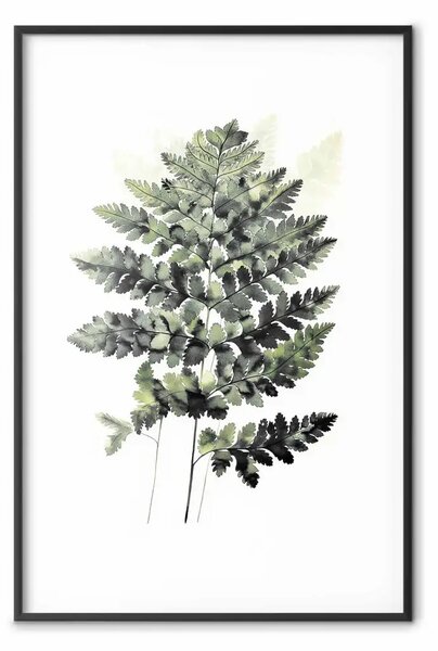 Poster: Felce in sfumature di verde scuro - elegante forma della natura su sfondo chiaro