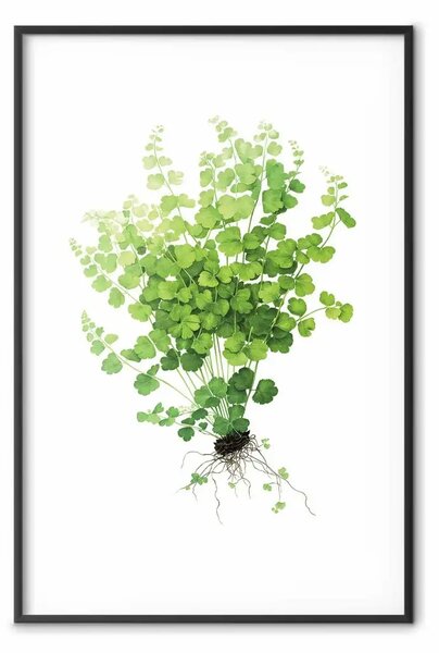 Poster: Delicata piantina verde - simbolo minimalista della natura