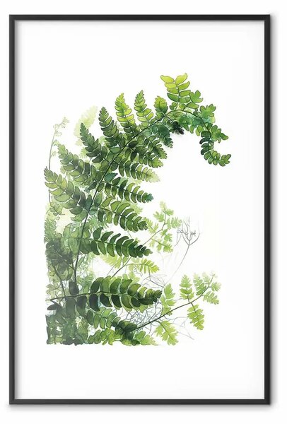 Poster: Felce e bianco - armoniosa transizione tra diverse sfumature di verde
