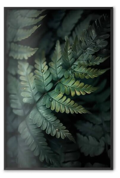 Poster: Rosa sulle felci - gioco di ombra e luce naturale sulle foglie