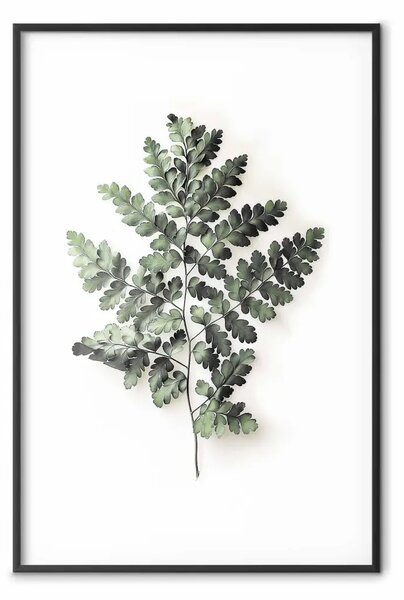 Poster: Delicatezza del grigio - felce su sfondo chiaro