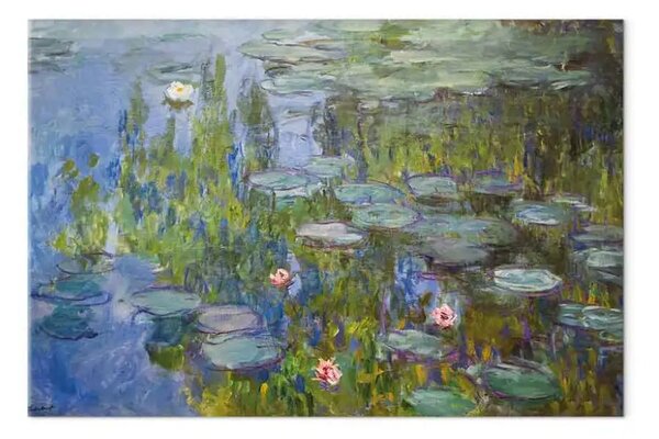 Riproduzione quadro Claude Monet - Ninfee (Lillie d'acqua)