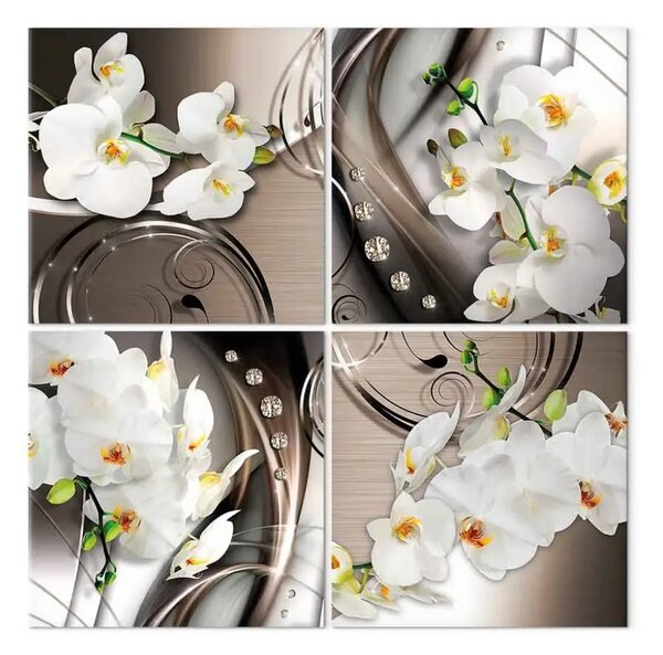 Quadro moderno Set orchidee - fiori in colori tenui Zen
